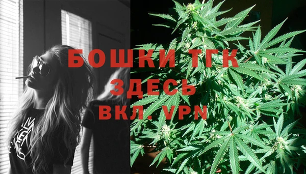 кокс Арсеньев