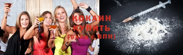 кокс Арсеньев